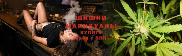 круглые Белокуриха