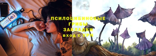 круглые Белокуриха
