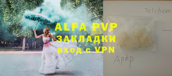 круглые Белокуриха