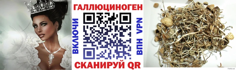 цена наркотик  Курганинск  сайты даркнета какой сайт  Псилоцибиновые грибы Magic Shrooms 